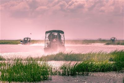 Airboot-Touren im Everglades Nationalpark